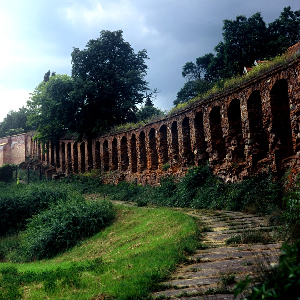 Pentacon Six + MC Biometar 2,8/120 - Old Monastery Wall