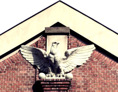 Stone Eagle