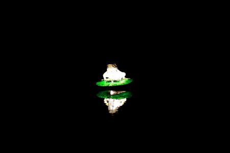 IMG 1759