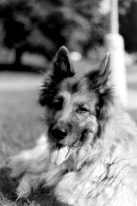 Portrait of Eli 1