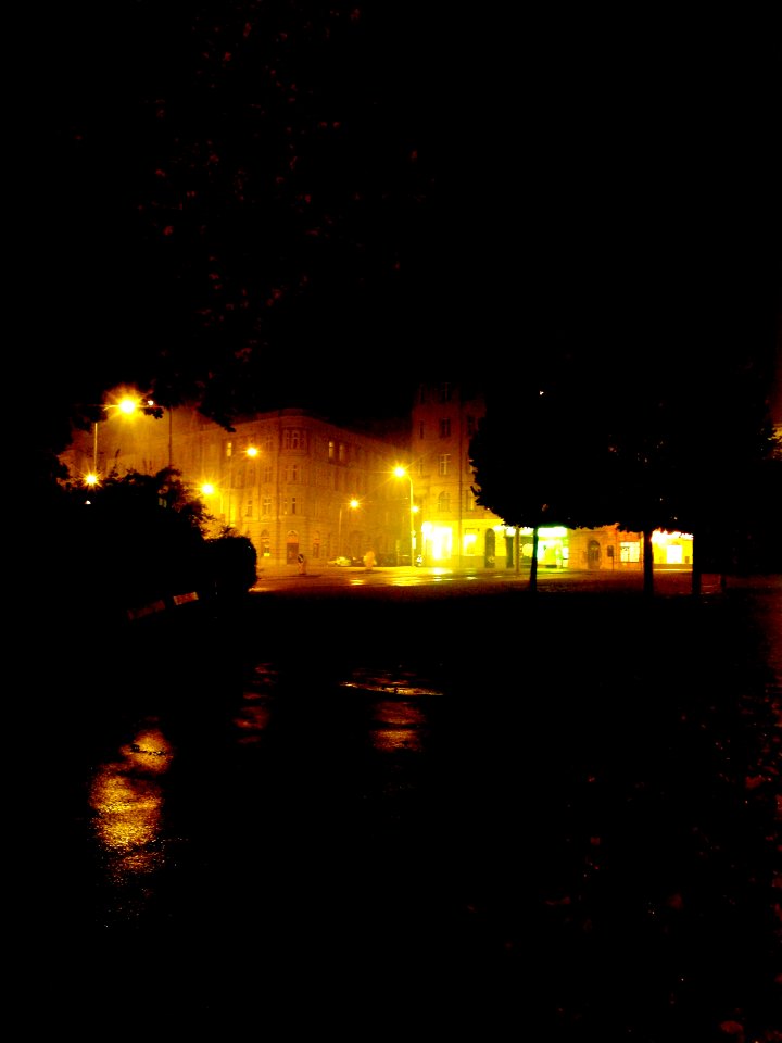 Look from the Lužánky Park to Lidická st.