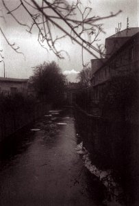 Agfa Billy Record 7.7 - Ponávka River