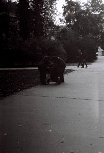 Kiev 4 - In the Park