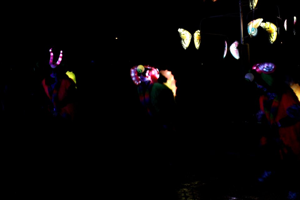 IMG 1555