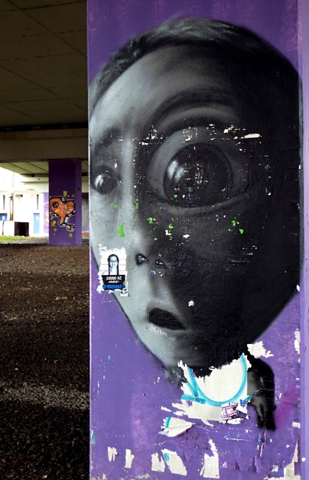 Grafitti Bridge #15
