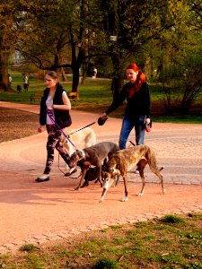Women with Dogs (enhanced version)