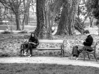Students in the Park