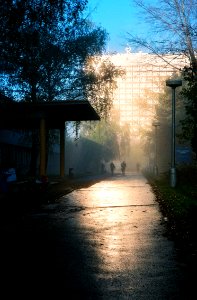 Kiev 4 + Jupiter-8M 53/2 - Hospital Impressions
