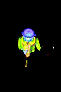 IMG 1536