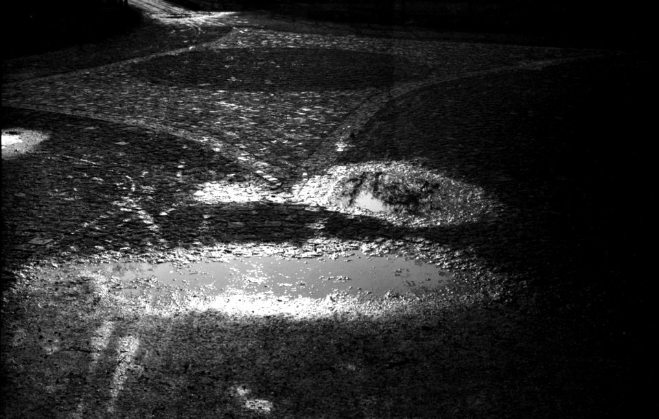 Zorki 4 + Industar-61 L/D - Sun After the Rain