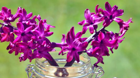 Violet glass decorative glass