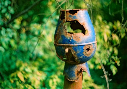 Praktica BC1 - Blue-Green Melancholy