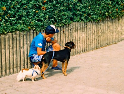 Voigtländer Vitoret - Lad with Doggies