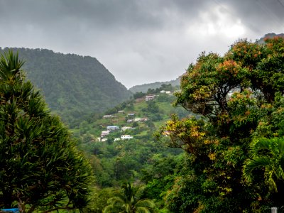 Madinina, saint denis