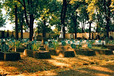 Graveyard of Victims of World War I.; Central Cemetery in Brno (Crossbird film)