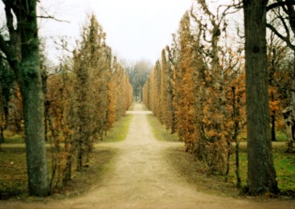 Praktica BC1 - Vienna - Schönbrunn
