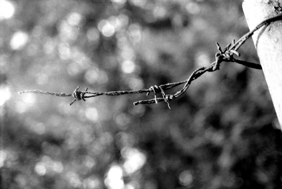 Praktica MTL5 + Industar-61 L/Z - Barbed Wire