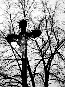 Cross and Tree