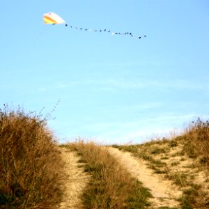 Kite