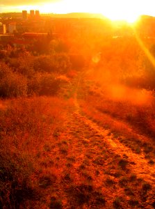 Sunshine Path