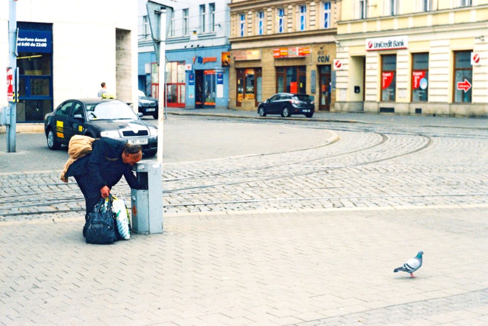 Praktica MTL 5 +  Helios 44-2 2/58 - Garbage Picking Man and a Pigeon