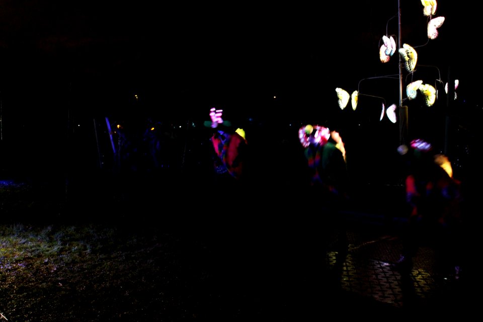 IMG 1564