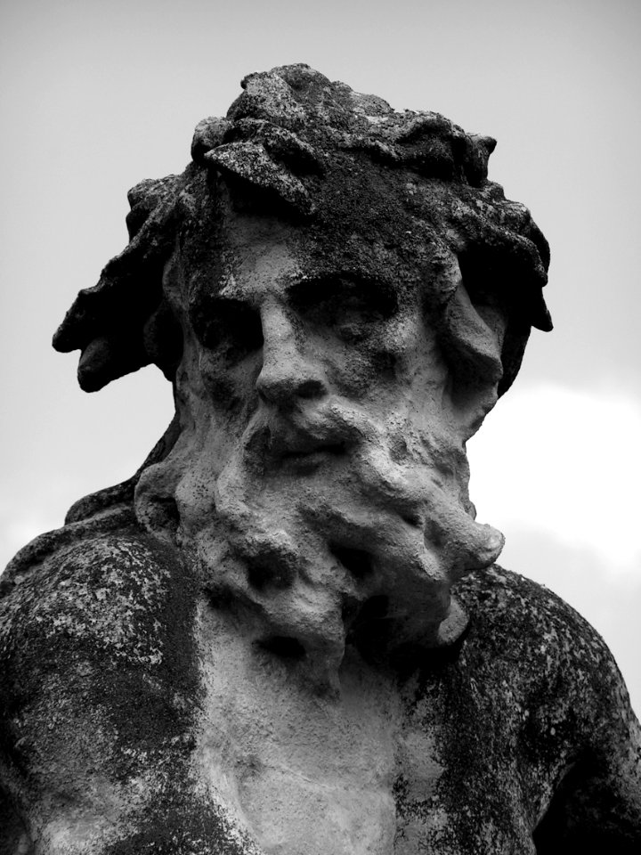 Portrait Of Stone Aquarius