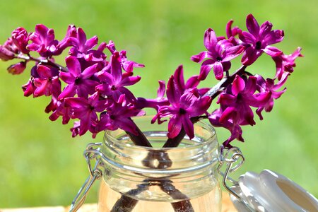 Violet glass decorative glass