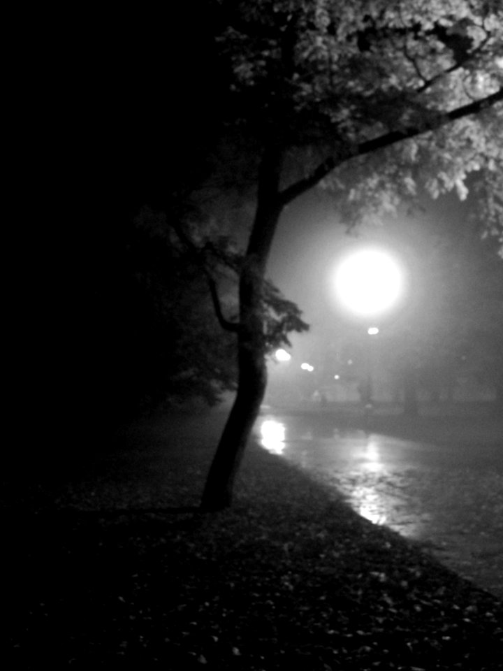 Misty Park at Night B&W