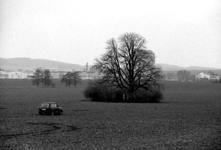 Praktica BC1 with Pentacon Prakticar 2,8/135 - Of Car and Tree on the Field