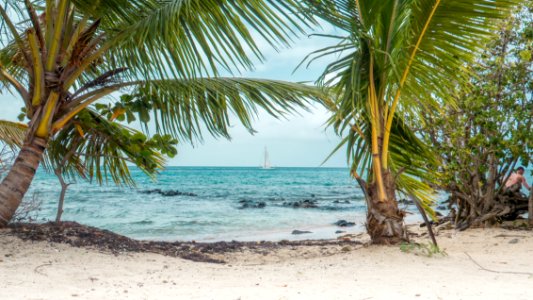 Madinina, anse figuier