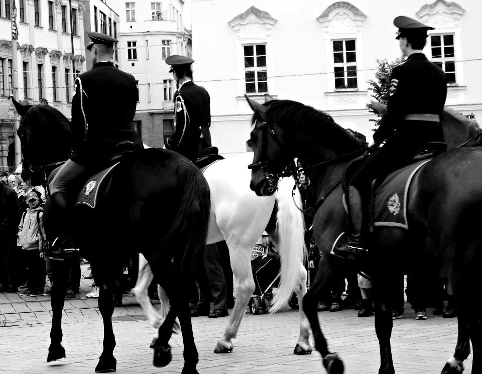 International Championship of Police Horse Riding - Opening Ceremony 12