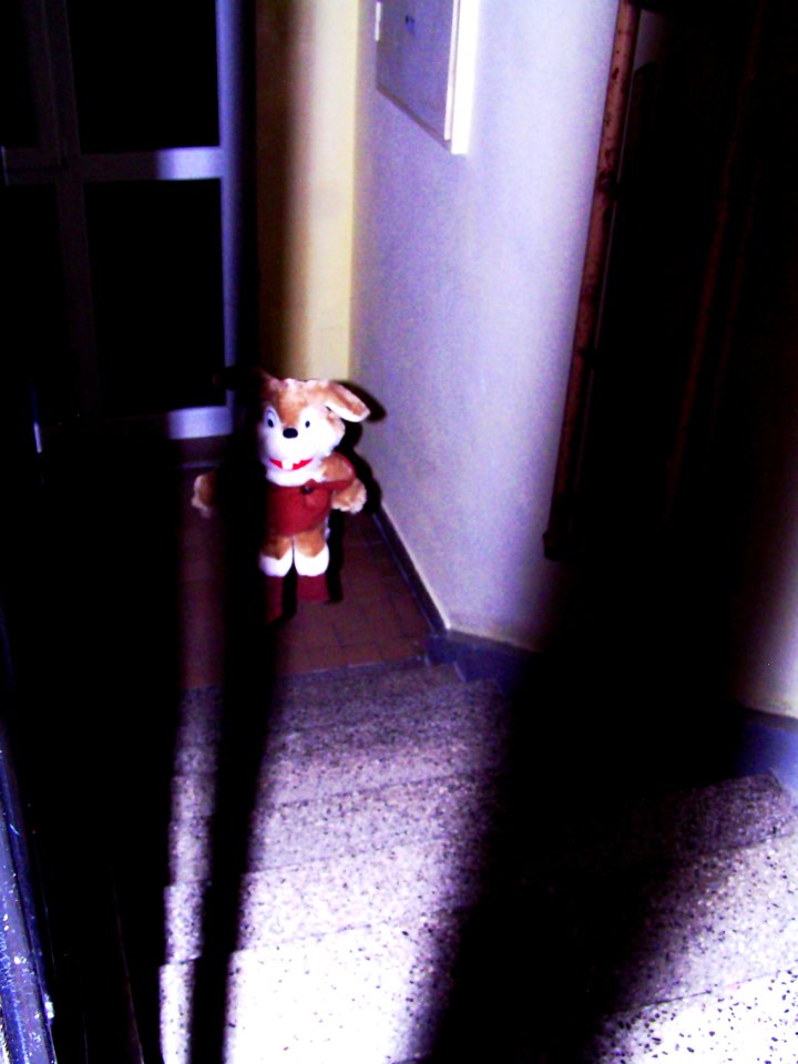 Unexpected Night Visitor