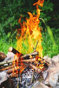 Burn wood barbecue photo