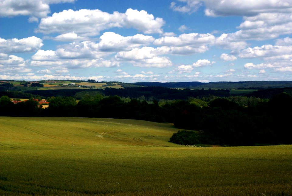 Sony Alpha A230 with MIR-1V - Moravian Karst landscape