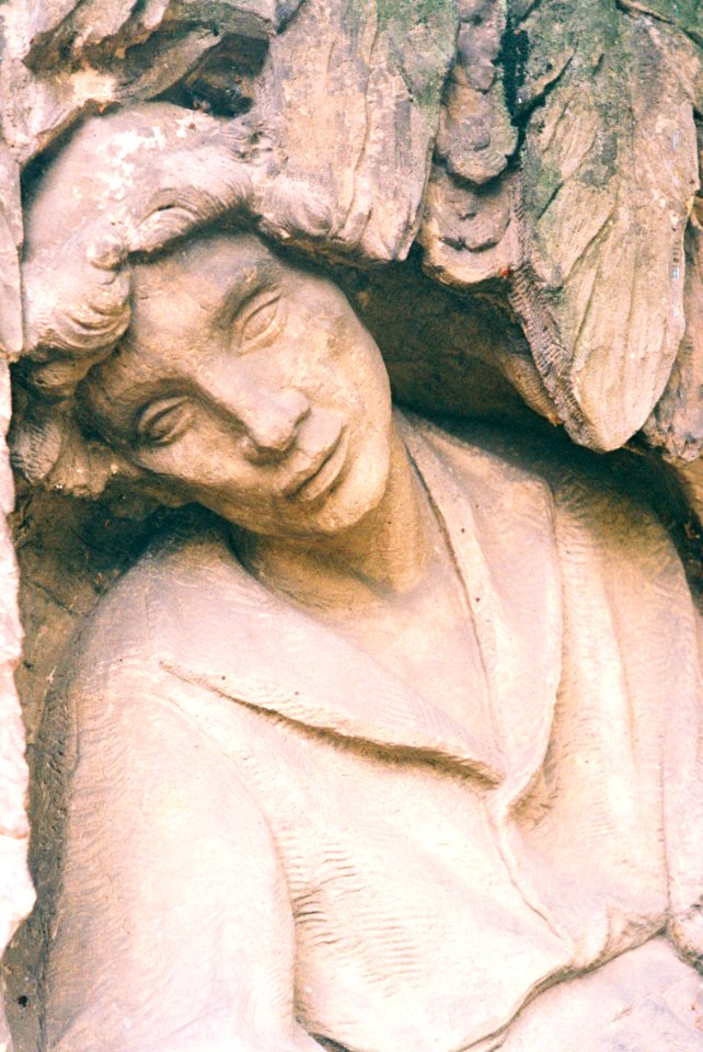 FED-5V - Gravestone on Central Cemetery 4