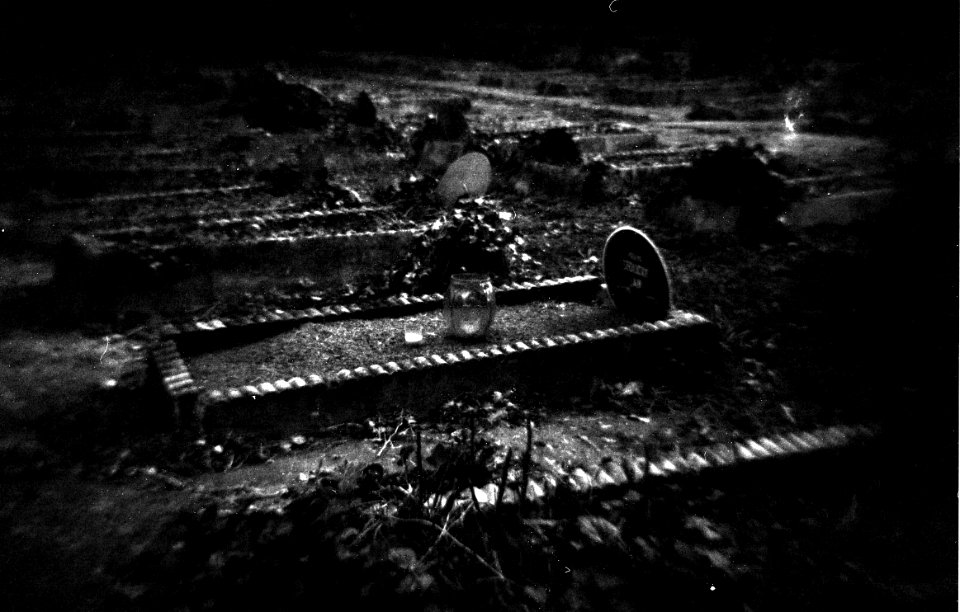 Holga 120FN - Old WW1 Graves 1