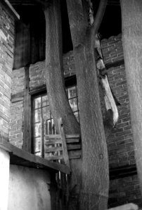 Canon EOS 30 - Of House and Tree