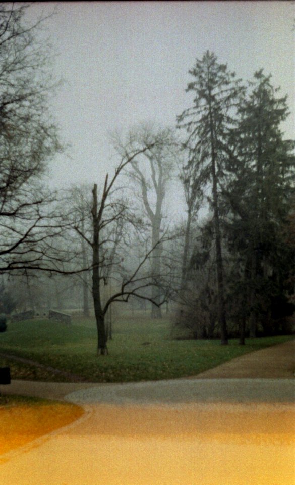 Praktica BC1 - Lužánky Park