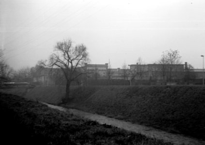Zeiss Ikon Box Tengor - Former City Slaughterhouse at Svitava River in Foggy Day 4