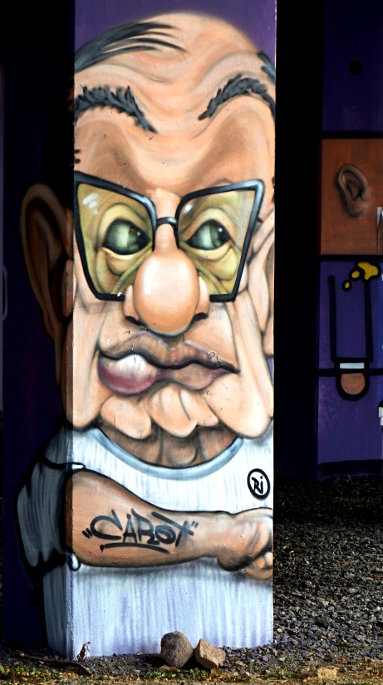 Grafitti Bridge #09