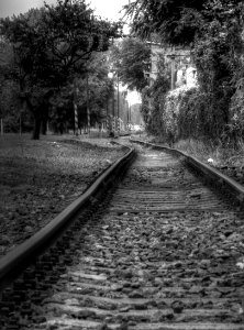 Rail (monochrome) photo