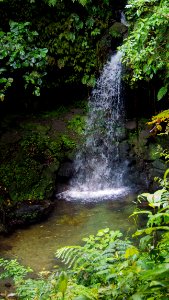 Dominique emerald pool