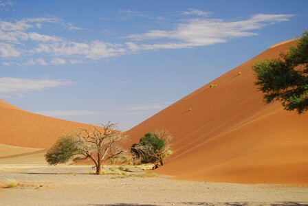 Sand africa dune