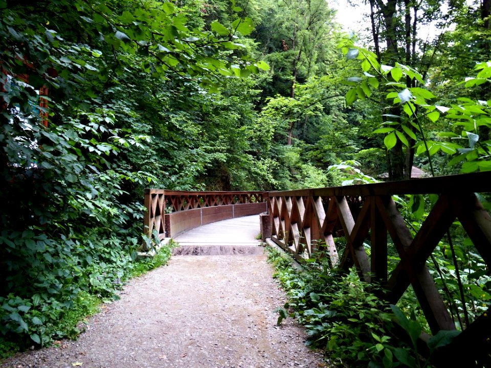 Footbridge 1
