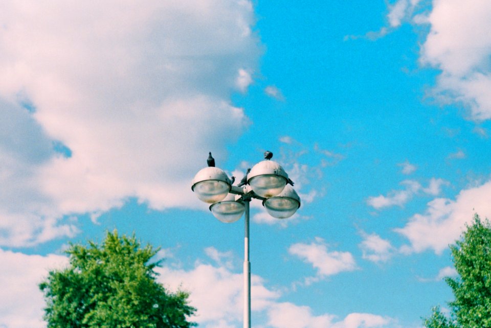 Lamp with Pigeons (Kiev camera)