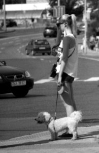 Kiev 4 + Jupiter-11 135/4 - Girl with a Doggie at Crosswalk