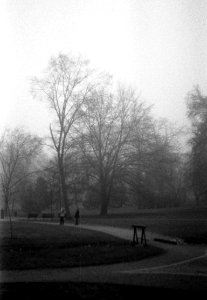 Praktica BC1 - Park in a Gloomy Day