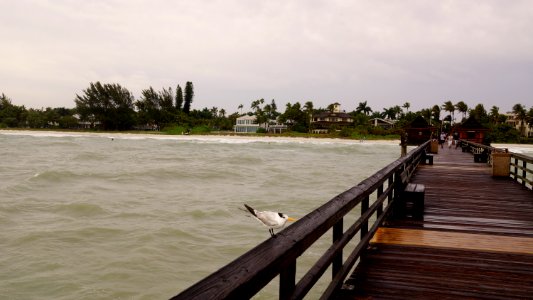 Florida1b (54)