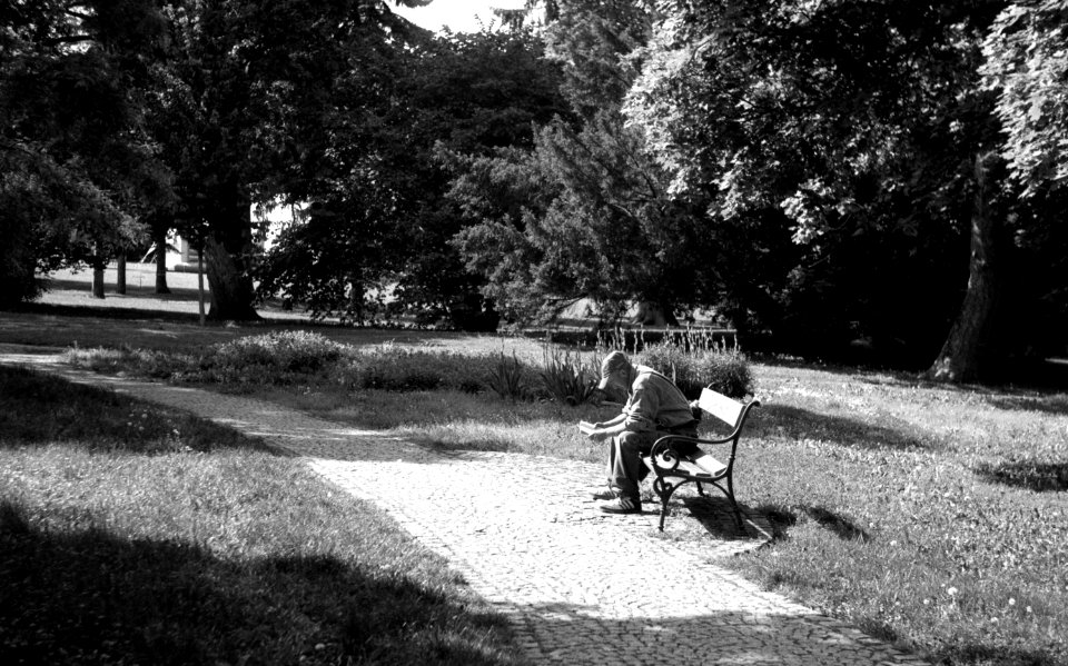 Praktica MTL 5 + Helios 44-2 2/58 - Reader in the Park